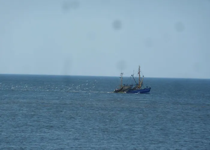 App-schnuffy * Westerland