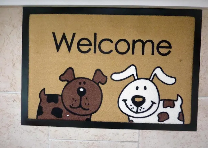 Appartamento App-schnuffy